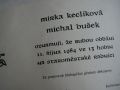 N�hled