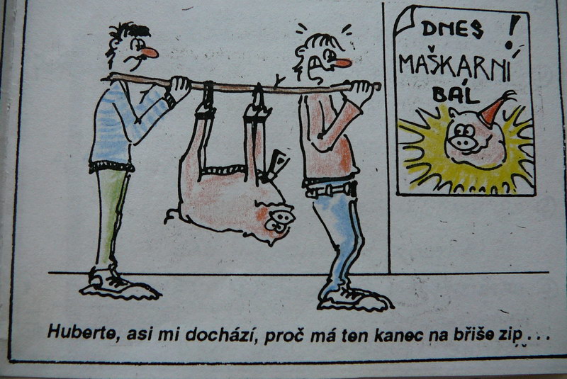 fotka