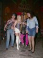 N�hodn� fotka z fotogalerie