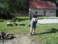 N�hled