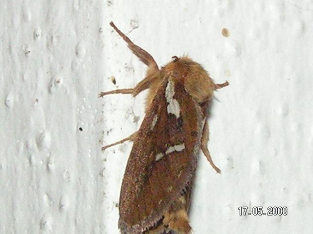 fotka
