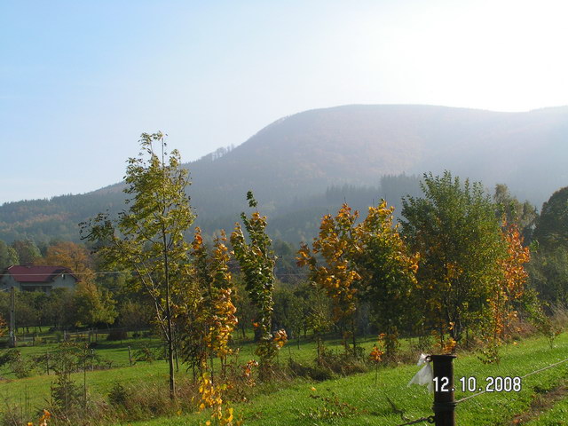 fotka