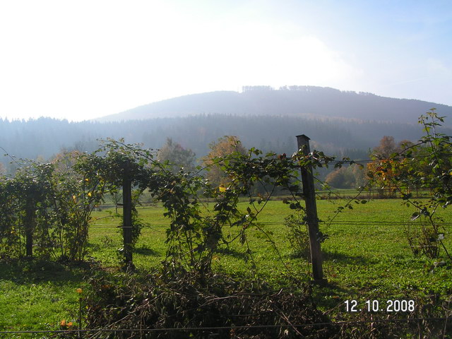 fotka