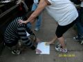 N�hodn� fotka z fotogalerie