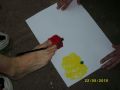 N�hled