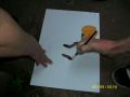 N�hled