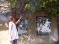 N�hodn� fotka z fotogalerie