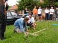 N�hodn� fotka z fotogalerie