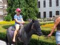 N�hled