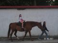 N�hled