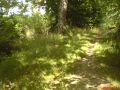 N�hled