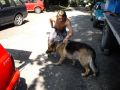 N�hled