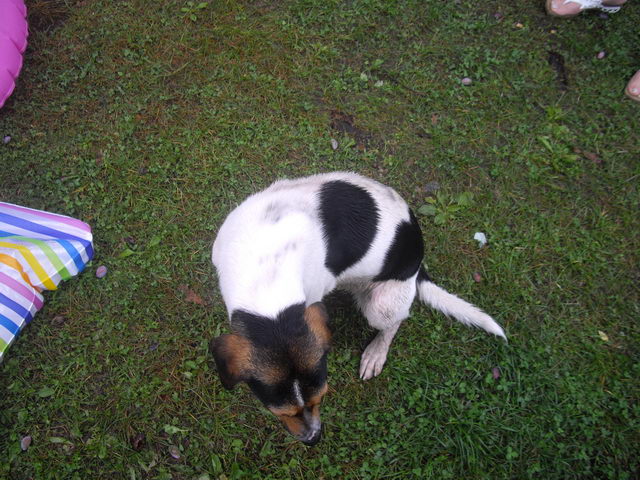 fotka