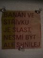 N�hled