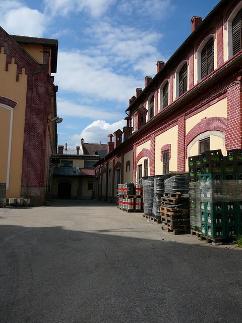 fotka
