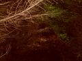 N�hled