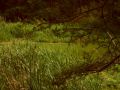 N�hled