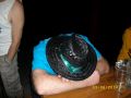 N�hled