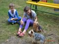 N�hled