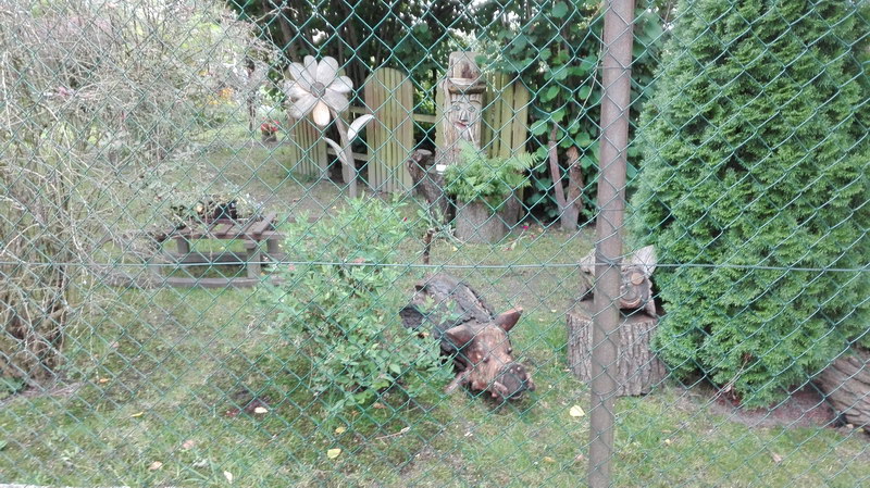 fotka