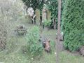 N�hled
