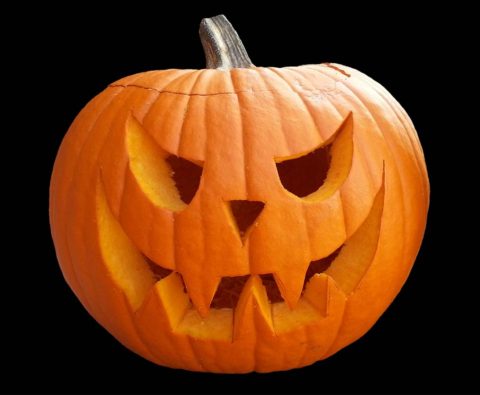 dyne-halloween-480�395